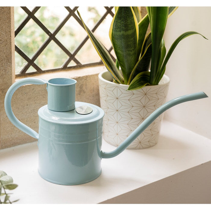 Kent and Stowe Indoor Metal Watering Can 1ltr Blue Sky with houseplant