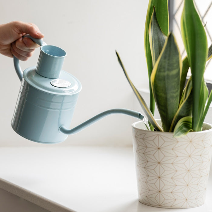 Kent and Stowe Indoor Metal Watering Can 1ltr Blue Sky in use