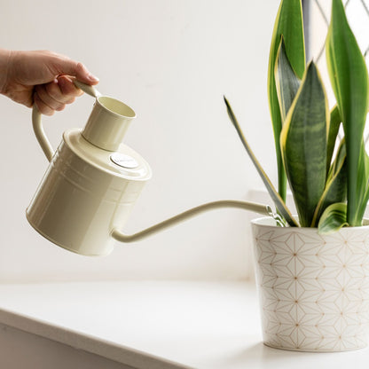 Kent and Stowe Indoor Metal Watering Can 1ltr Vintage Cream in use