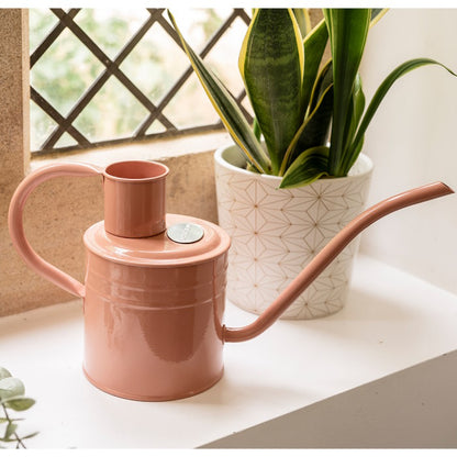 Kent and Stowe Indoor Metal Watering Can 1ltr Blush Pink with houseplant