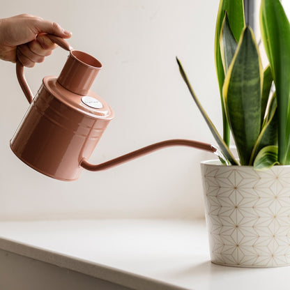 Kent and Stowe Indoor Metal Watering Can 1ltr Blush Pink in use