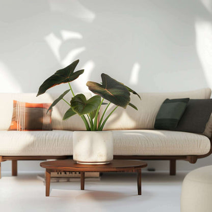 8431901_Atmosphere_01_SQ_dddb54c3-e5a0-44e5-bb60-d193e605b3c1