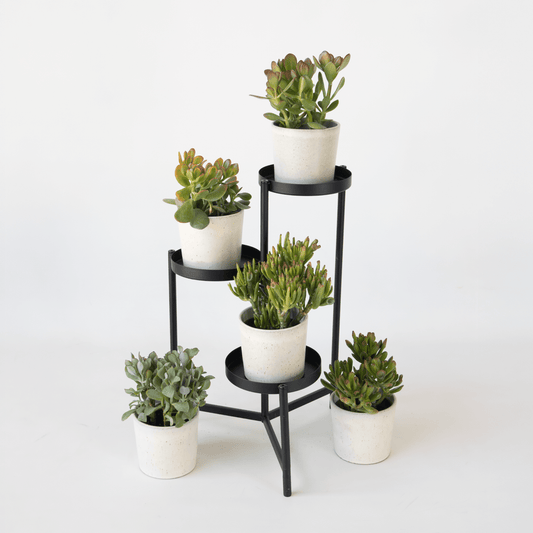 8604125_Atmosphere_01_SQ_51be6d7d-abcd-4ced-a1c6-8ea3fb08ccf8