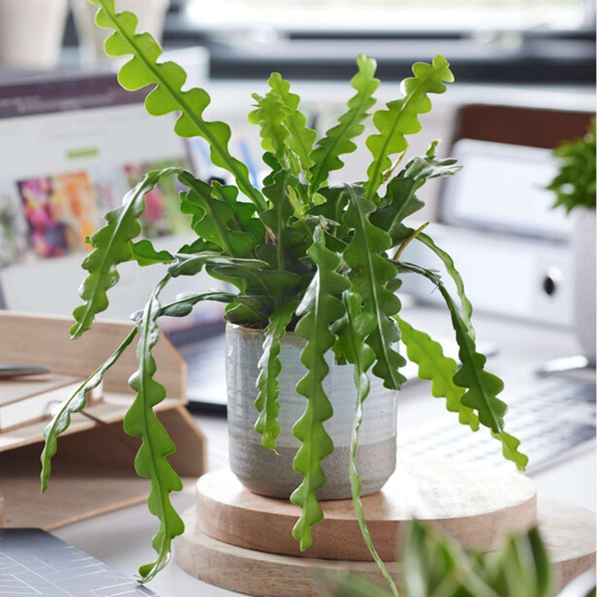 8971501_Atmosphere_02_SQ_6e81f5c4-e7b3-4d5f-ac7e-044edfcac927