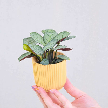 8981401_Atmosphere_01_SQ_7e95a2fb-a20b-432b-b329-9b38be810110