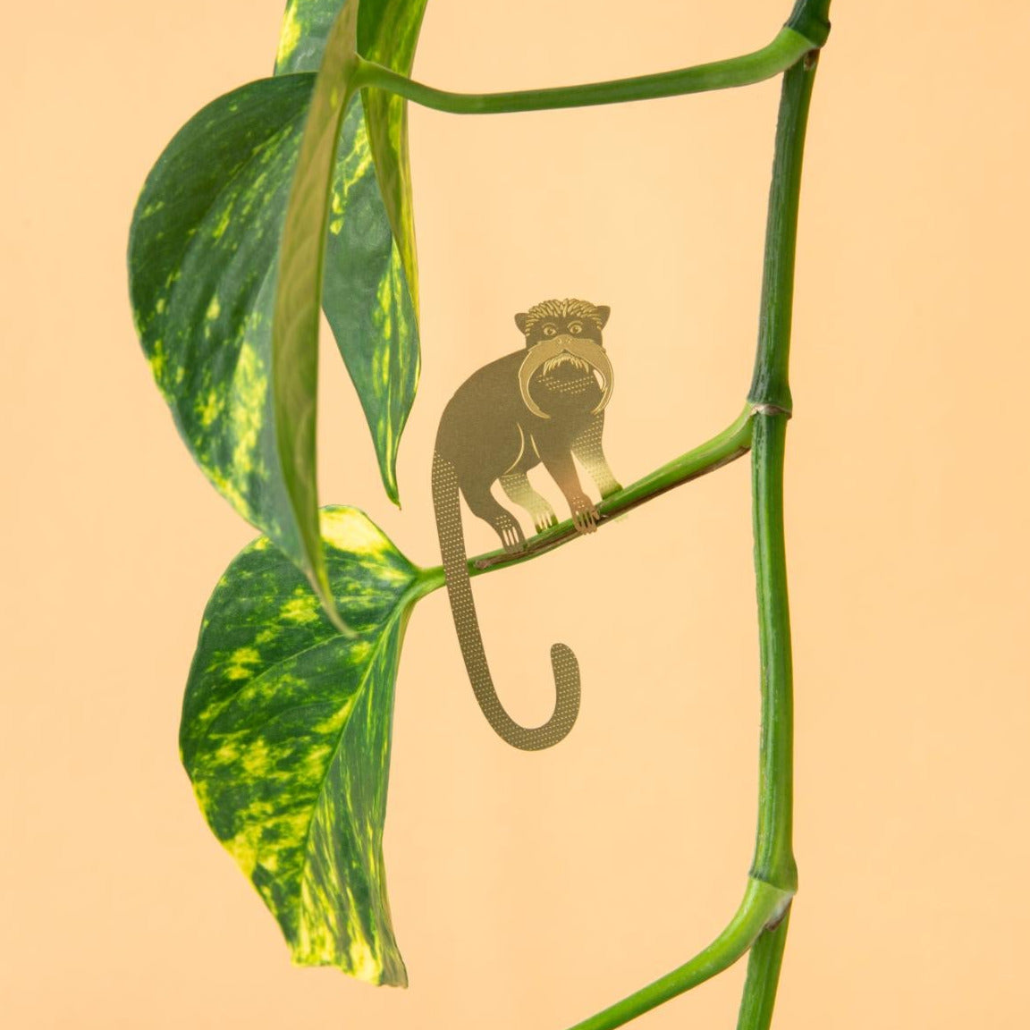 Plant Animal Tamarin Houseplant Hanging Decoration