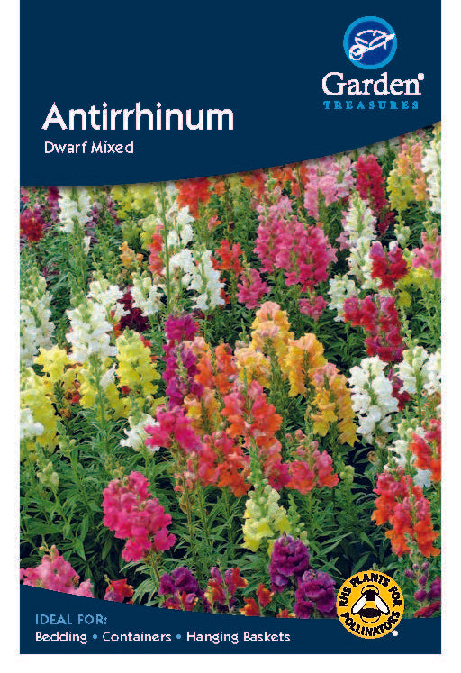 Antirrhinum Dwarf Mixed Seeds