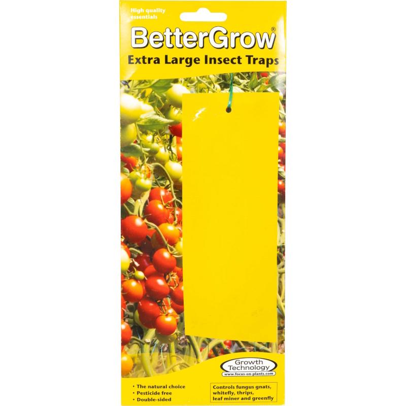 10 Extra Large Sticky Insect Traps: BetterGrow