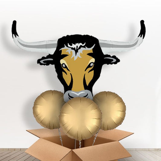 Long Horn Cowboy Shaped Giant Balloon in a Box Gift - With 3 Plain Balloons | Small Indoor Plants