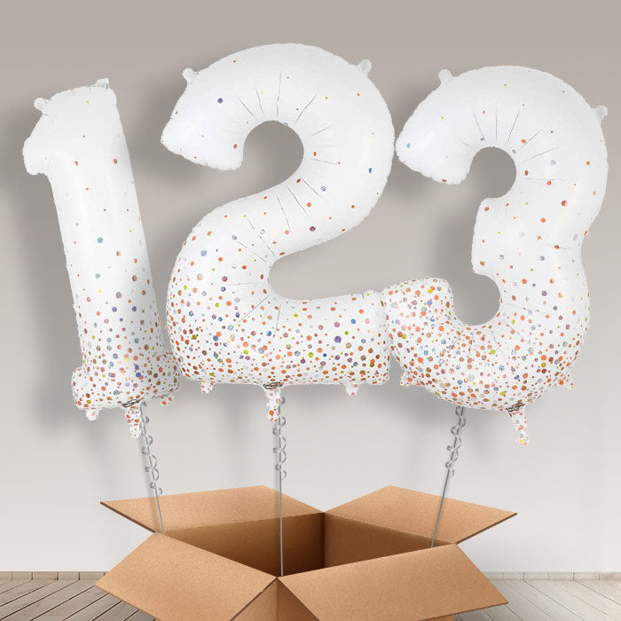 Rose Gold and White Helium Filled Number Balloons 0-9 - Number 9 | Small Indoor Plants