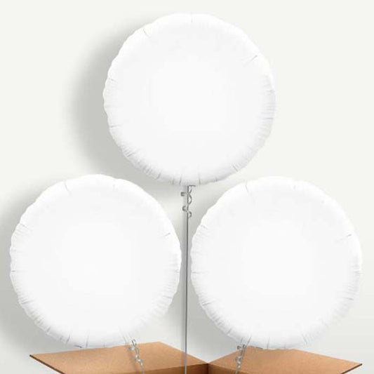 White Circle Helium Bunch of Balloons | Small Indoor Plants