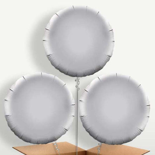 Silver Circle Helium Bunch of Balloons | Small Indoor Plants