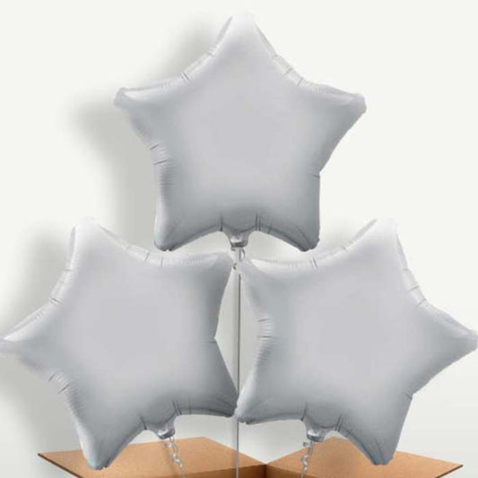 Silver Star Helium Bunch of Balloons | Small Indoor Plants