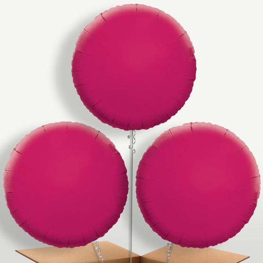 Hot Pink Circle Bunch of Balloons inflated with Helium | Small Indoor Plants