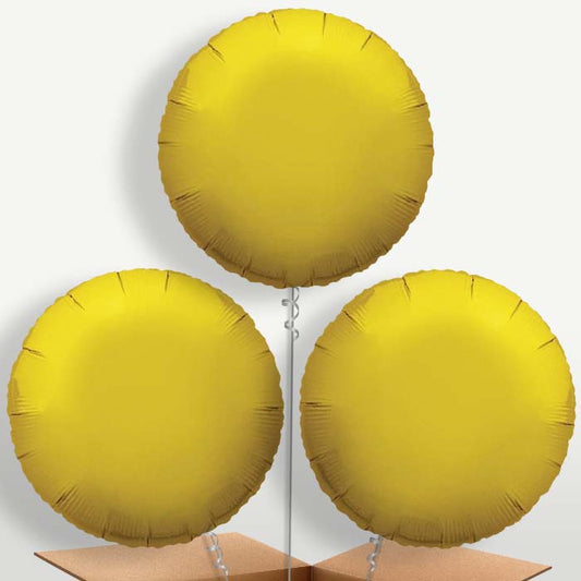 Gold Circle Bunch of Balloons inflated with Helium | Small Indoor Plants