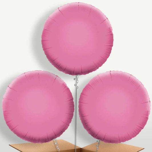 Baby Pink Circle Bunch of Balloons inflated with Helium | Small Indoor Plants