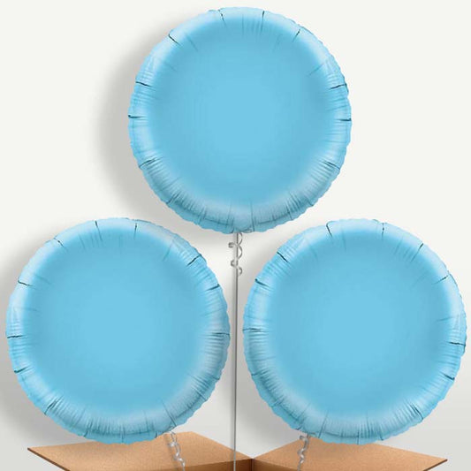 Baby Blue Circle Bunch of Balloons inflated with Helium | Small Indoor Plants