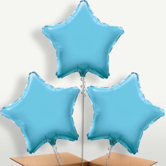 Baby Blue Star Bunch of Balloons inflated with Helium | Small Indoor Plants