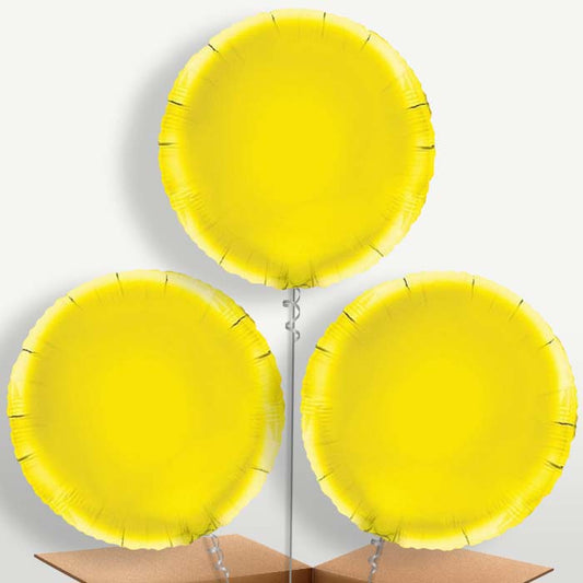 Yellow Circle Bunch of Balloons inflated with Helium | Small Indoor Plants