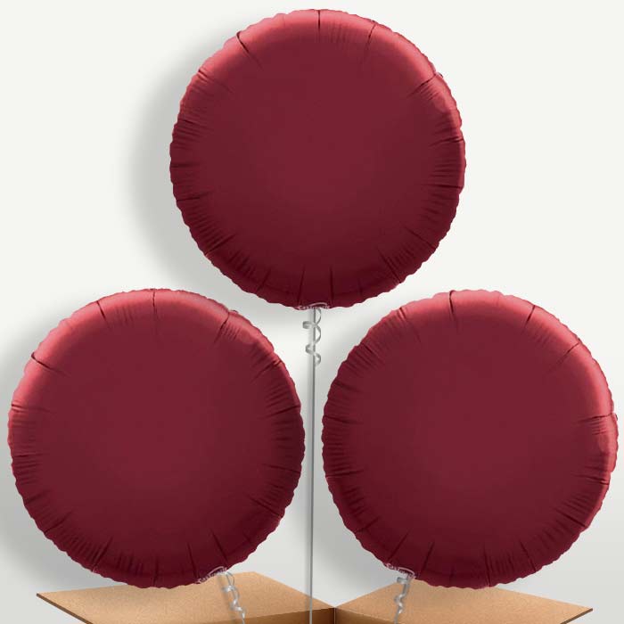 Burgundy Circle Bunch of Balloons inflated with Helium | Small Indoor Plants
