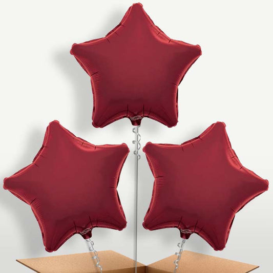 Burgundy Star Bunch of Balloons inflated with Helium | Small Indoor Plants