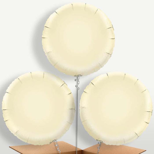 Ivory Circle Bunch of Balloons inflated with Helium | Small Indoor Plants