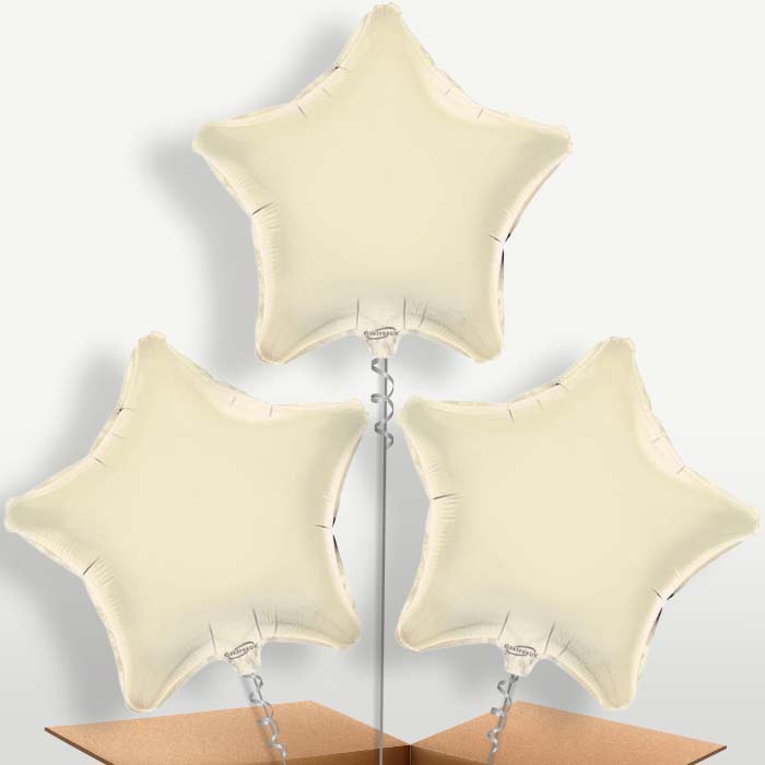 Ivory Star Bunch of Balloons inflated with Helium | Small Indoor Plants