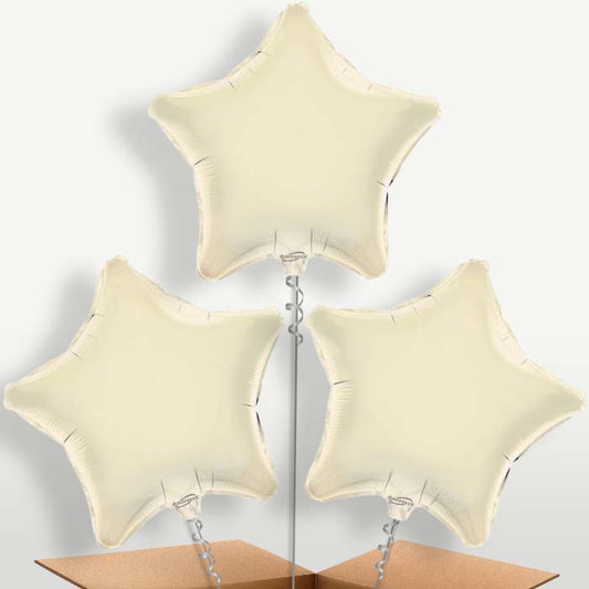 Ivory Star Bunch of Balloons inflated with Helium | Small Indoor Plants