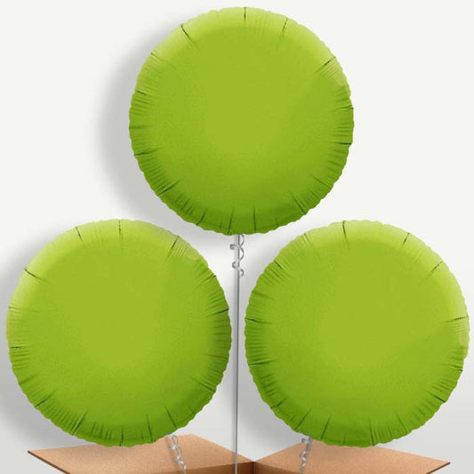 Lime Green Circle Bunch of Balloons inflated with Helium | Small Indoor Plants