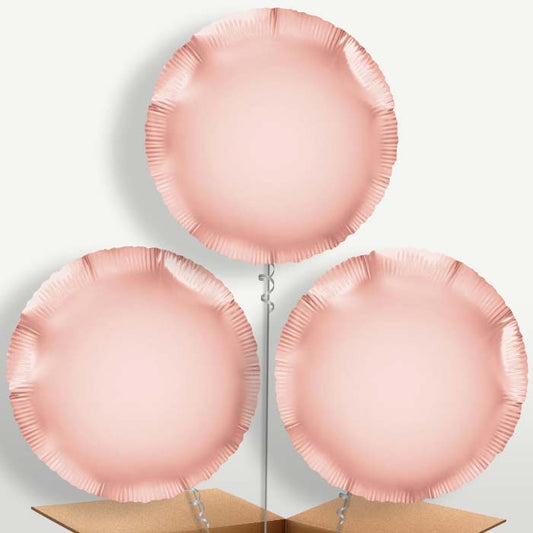 Rose Gold Circle Bunch of Balloons inflated with Helium | Small Indoor Plants