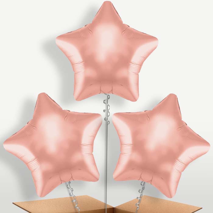 Rose Gold Star Shaped Bunch of Balloons inflated with Helium | Small Indoor Plants