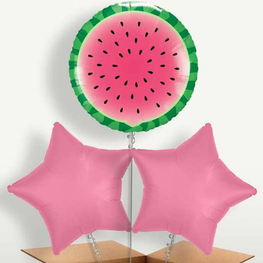 Watermelon Helium Bunch of Balloons | Small Indoor Plants
