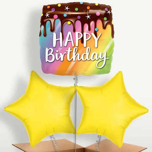 Happy Birthday Cake Balloons in a Bunch Inflated with Helium | Small Indoor Plants