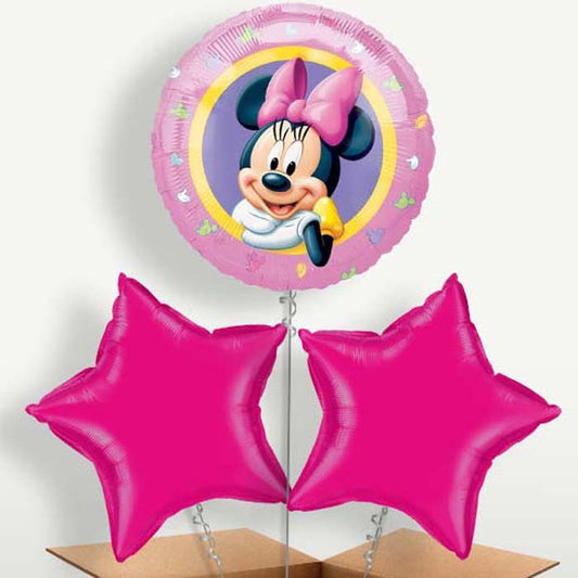 Pink Minnie Mouse Portrait Balloon Bunch | Small Indoor Plants
