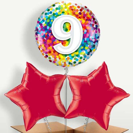 Colourful 9th Birthday Bunch of Balloons | Small Indoor Plants