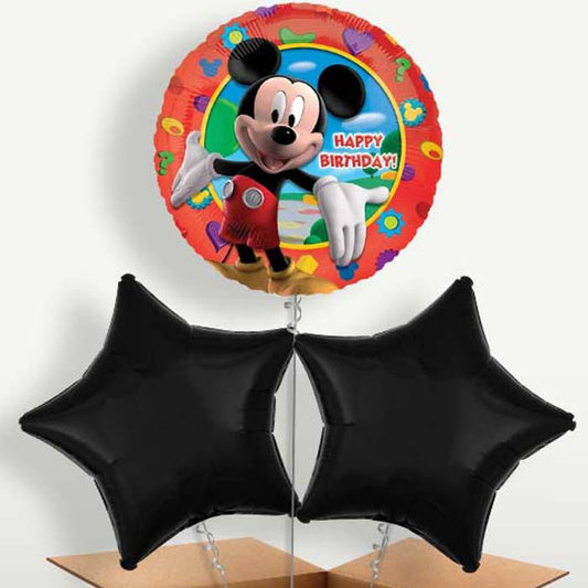Mickey Mouse Happy Birthday Balloon Bunches | Small Indoor Plants