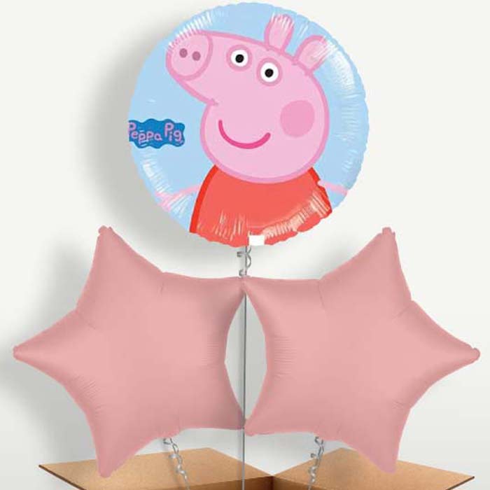 Peppa Pig Balloon Bunch inflated with Helium | Small Indoor Plants