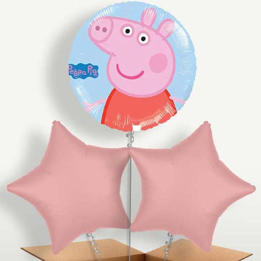 Peppa Pig Balloon Bunch inflated with Helium | Small Indoor Plants
