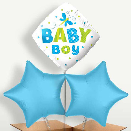 Dragonfly Baby Boy Trio Balloon Bunch inflated with Helium | Small Indoor Plants