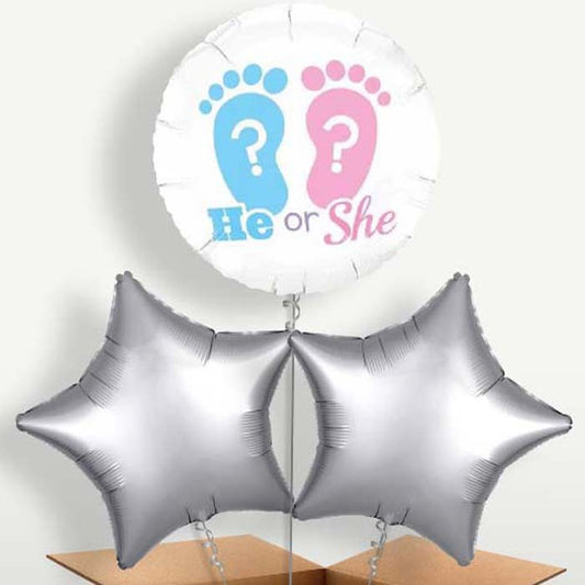He or She Gender Reveal Balloons in a Bunch | Small Indoor Plants