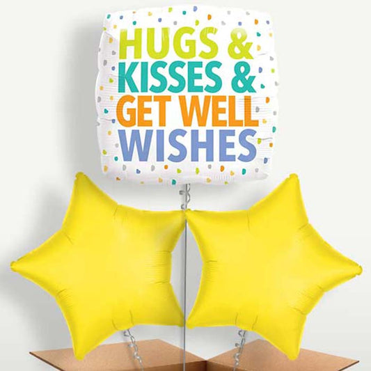 Hug Kisses Get Well Wishes Balloon Bunches | Small Indoor Plants