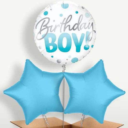 Blue Dot Birthday Boy Bunch of Balloons inflated with Helium | Small Indoor Plants