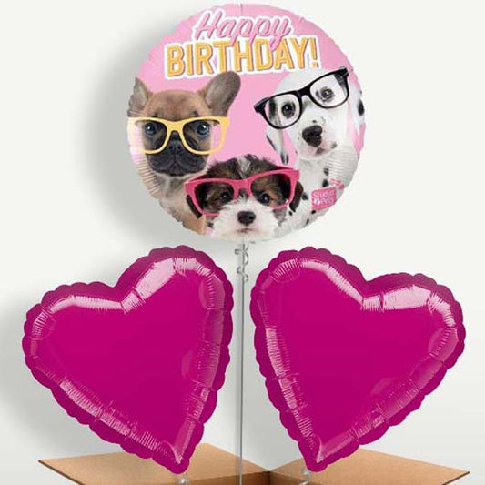 Puppy Happy Birthday Trio Balloon Bunch | Small Indoor Plants
