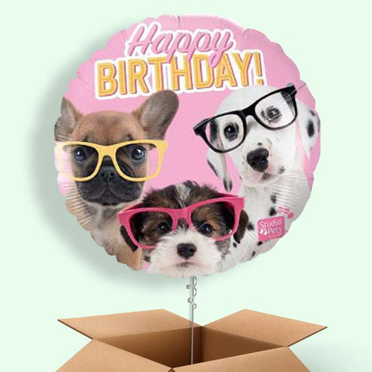 Puppy Balloons in a Box - Happy Birthday