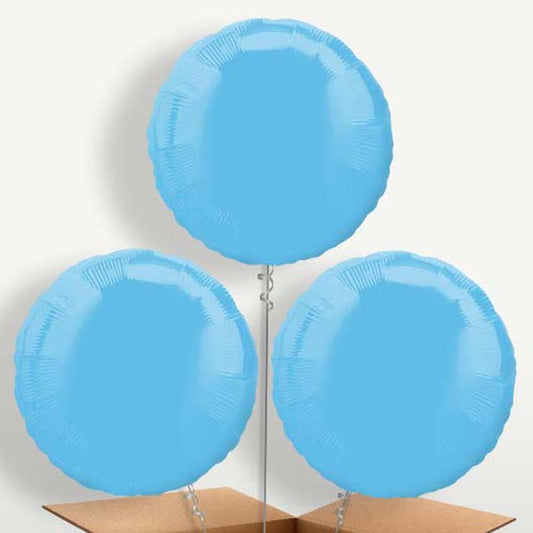 Baby Blue Plain Circle Bunch of Balloons inflated with Helium | Small Indoor Plants