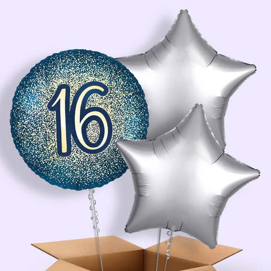 Navy and Gold 16th Birthday Foil Balloon in a Box - 3 Balloon | Small Indoor Plants