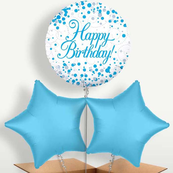 Blue & White Birthday Bunch of Balloons inflated with Helium | Small Indoor Plants