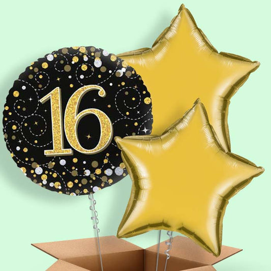 Black & Gold 16th Birthday Balloon in a Box - 3 Balloon | Small Indoor Plants