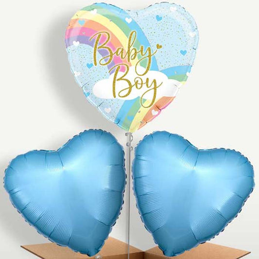 Pastel Rainbow Baby Boy Balloon Bunch | Small Indoor Plants