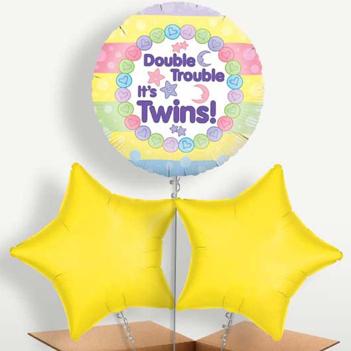 It's Twins New Baby Balloon Bunches inflated with Helium | Small Indoor Plants